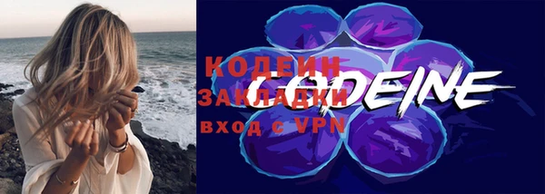 молекула духа Няндома