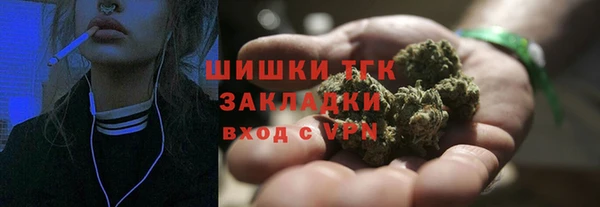 молекула духа Няндома