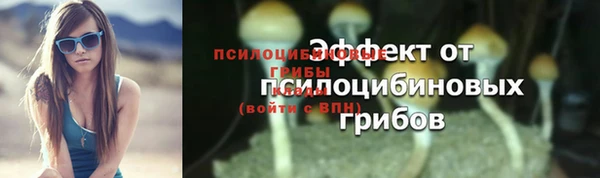 гашиш Новодвинск