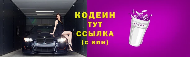 соль ск Нягань