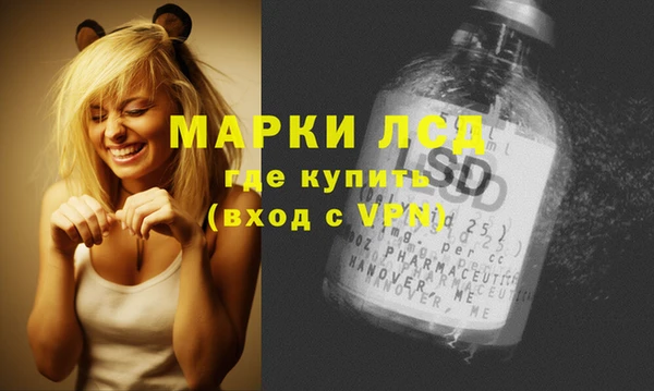 молекула духа Нязепетровск